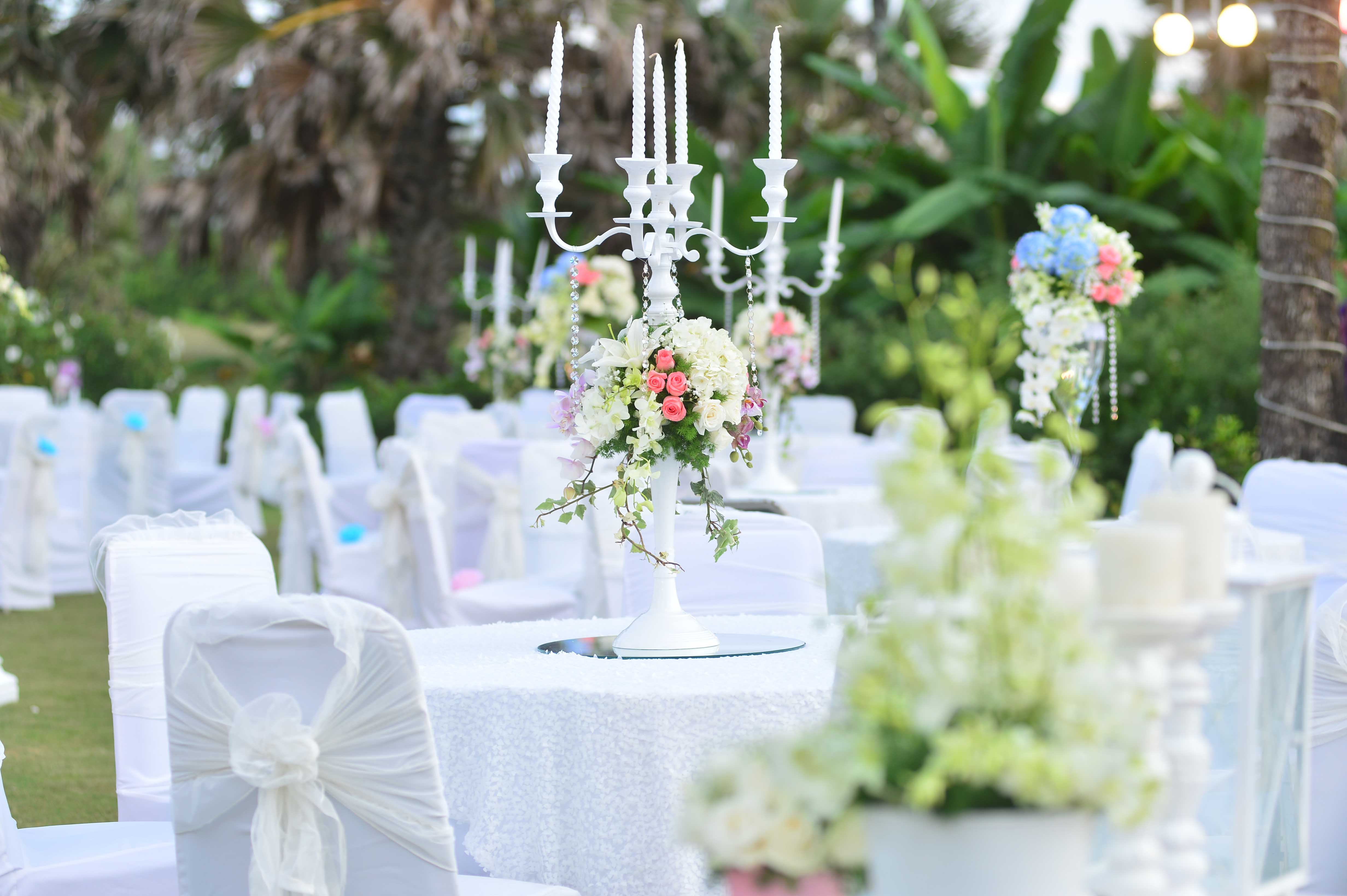 Wedding 6