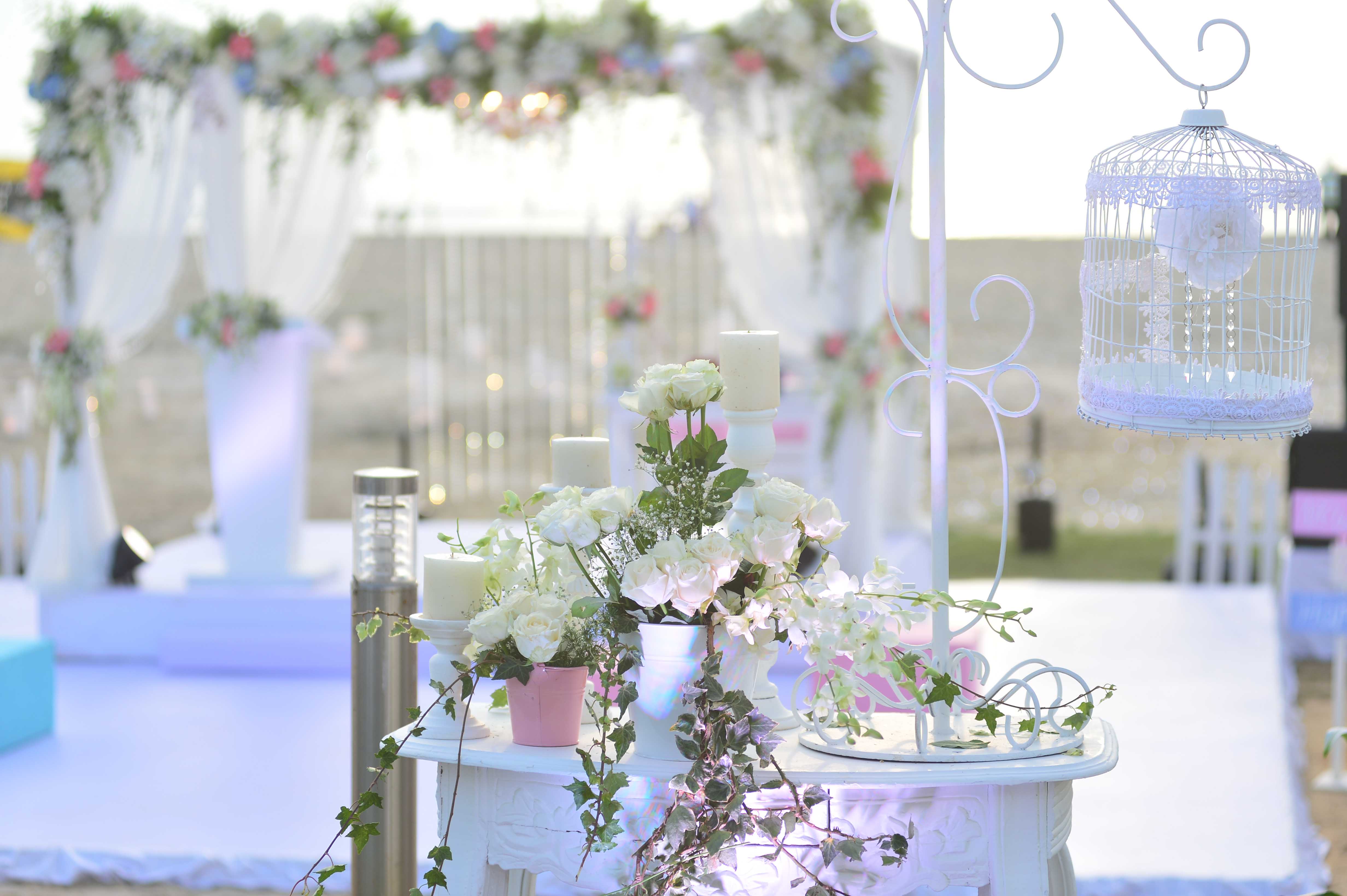 Wedding 7